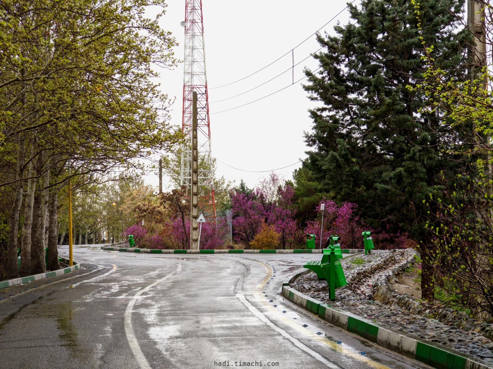 20250405T062818--Tehran on a rainy day viewed from Shiyan Forest Park__sky_spring